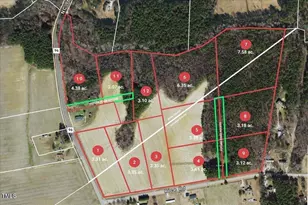 10320 Basmati Trl, Zebulon, NC 27597 - Photo 1