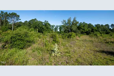 132 W Moore Street, Norman, NC 28338 - Photo 9