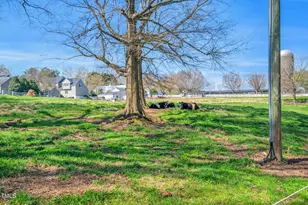 863 Hatfield, Pittsboro, NC 27312 - Photo 73