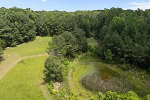 8737 Allison Rd, Cedar Grove, NC 27231 - Photo 71