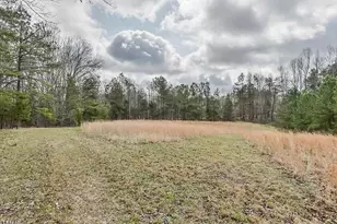 8737 Allison Rd, Cedar Grove, NC 27231 - Photo 79