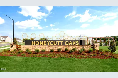 28 Red Clover Drive, Angier, NC 27501 - Photo 41