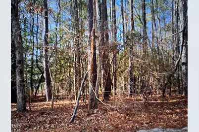 373 Thimbleberry Drive, Vass, NC 28394 - Photo 1