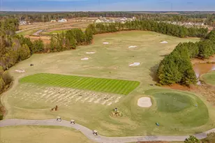 125 Blue Hydrangea Ln, Holly Springs, NC 27540 - Photo 87