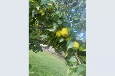 2315 Lansdale Road, Hillsborough, NC 27278 - Photo 39