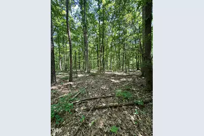 0 Tom Hicks Land, Henderson, NC 27537 - Photo 5
