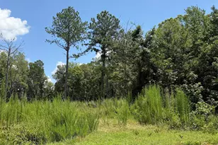 2210 Harris Rd, Rougemont, NC 27572 - Photo 1