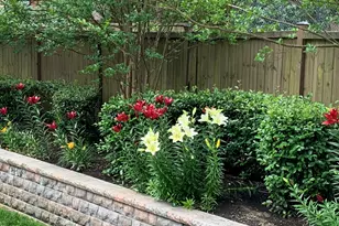 1001 Kelnor Ct, Morrisville, NC 27560 - Photo 37