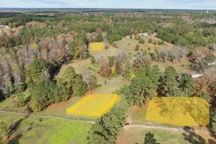 000 Cedar Ln Rd, Sanford, NC 27330 - Photo 15