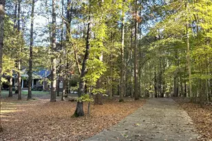 4421 Black Lion Way, Raleigh, NC 27610 - Photo 3