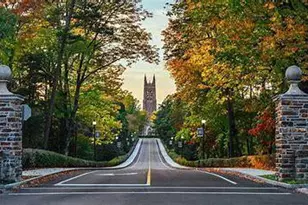 1044 Zelkova Ln, Chapel Hill, NC 27517 - Photo 31