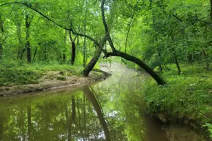 8295 Antioch Church Rd, Middlesex, NC 27557 - Photo 69