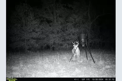 8295 Antioch Church Road, Middlesex, NC 27557 - Photo 71