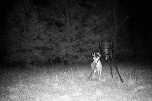 8295 Antioch Church Rd, Middlesex, NC 27557 - Photo 71