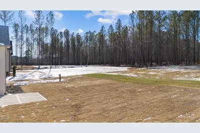 115 Cherry Bark Drive, Youngsville, NC 27596 - Photo 43