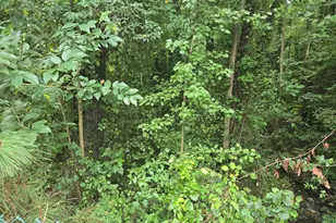 604 E Geer St, Durham, NC 27701 - Photo 1