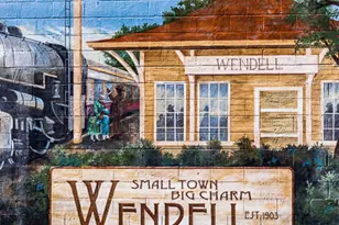 1149 Days End Pl, Wendell, NC 27591 - Photo 55