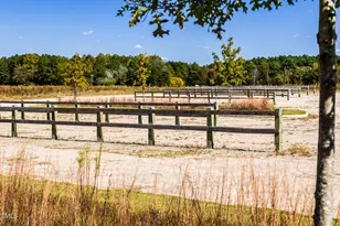 1149 Days End Pl, Wendell, NC 27591 - Photo 21