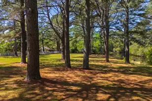 2451 Brick Mill Rd, Coats, NC 27521 - Photo 87