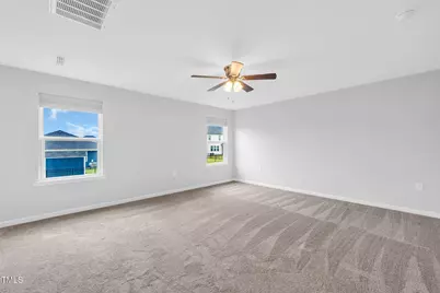 215 Purple Aster Street, Youngsville, NC 27596 - Photo 27