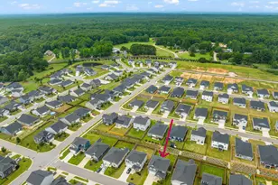 215 Purple Aster St, Youngsville, NC 27596 - Photo 45