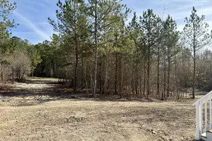 711 Bullard Rd, Sanford, NC 27332 - Photo 11