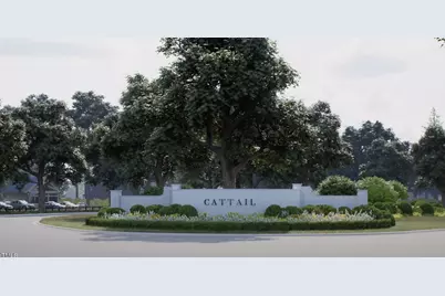 201 Charlotte Knoll Street, Zebulon, NC 27597 - Photo 49