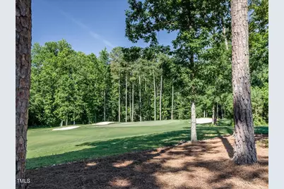 642 The Preserve Trail, Chapel Hill, NC 27517 - Photo 3