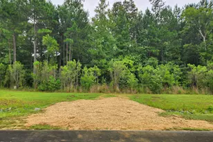 1278 Cedar Grove Rd, Pittsboro, NC 27312 - Photo 1