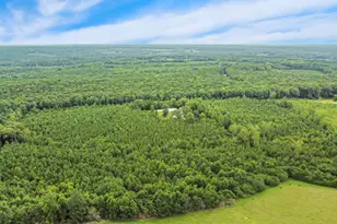 2150 NC-58, Castalia, NC 27816 - Photo 43