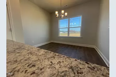 20 Streamline Court, Lillington, NC 27546 - Photo 9