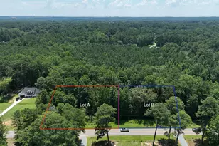 0 Lot B Carbonton Rd, Sanford, NC 27330 - Photo 1