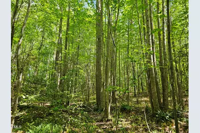 0 Alert Road, Louisburg, NC 27549 - Photo 23