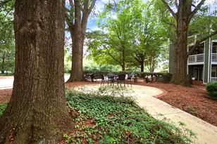 1201 Westview Ln, Raleigh, NC 27605 - Photo 11