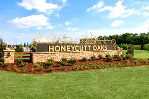 78 Stone Apiary Dr, Angier, NC 27501 - Photo 45