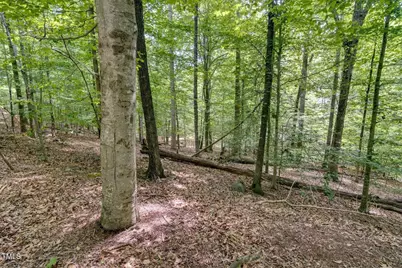 625 Totten Place, Chapel Hill, NC 27514 - Photo 13