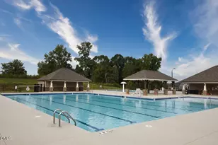 37 Pink Iris Ct, Clayton, NC 27520 - Photo 35