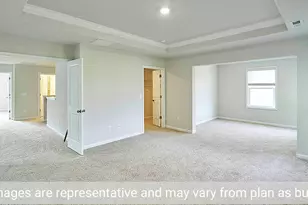 49 West Fire Opal Ct, Clayton, NC 27520 - Photo 29