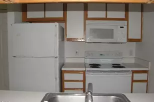 1341 Crab Orchard Dr, Raleigh, NC 27606 - Photo 3