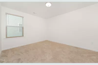 248 Horseshoe Place, Angier, NC 27501 - Photo 31