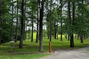 107 Greensview Dr, Cary, NC 27518 - Photo 43