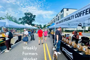 105 Chatham Walk Ln, Cary, NC 27511 - Photo 43