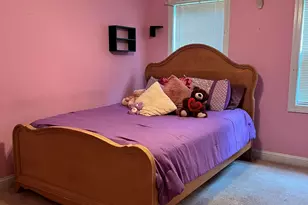 414 Ash Lily Ct, Nashville, NC 27856 - Photo 15