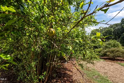 4811 New Sharon Church Road, Hillsborough, NC 27278 - Photo 77