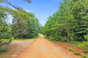 351 Melinda Ln, Henderson, NC 27537 - Photo 13