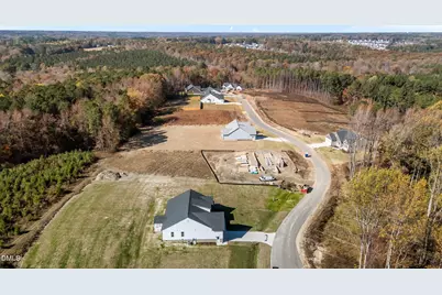 141 Little Lady Trail, Zebulon, NC 27597 - Photo 9