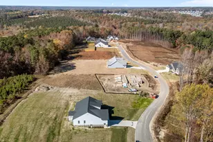 141 Little Lady Trl, Zebulon, NC 27597 - Photo 9