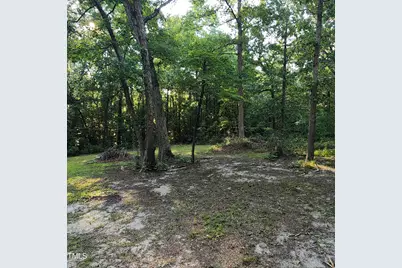 471 Turlington Drive, Benson, NC 27504 - Photo 9