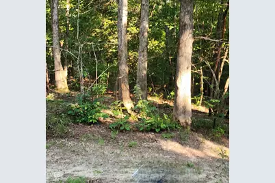 471 Turlington Drive, Benson, NC 27504 - Photo 7