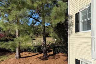 134 Schultz St, Chapel Hill, NC 27514 - Photo 27